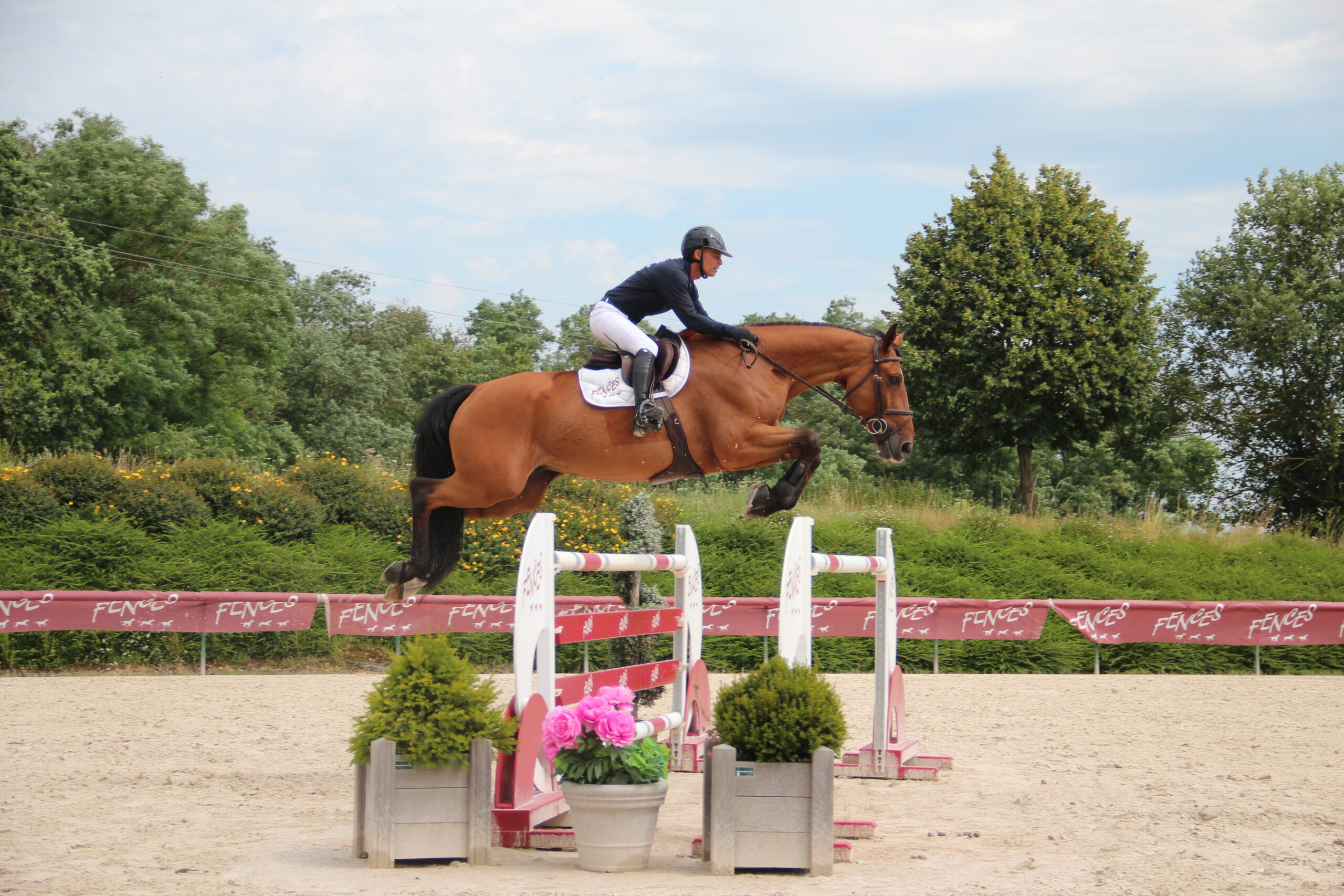 32 - CELTIC (GELDING - 9 YEARS - CONCORDE x CHACCO BLUE)